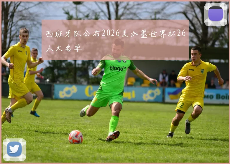 西班牙队公布2026美加墨世界杯26人大名单